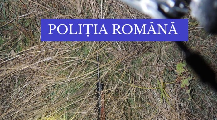 Au braconat trei căprioare la Brănești! Autorii, arestați
