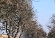 VIDEO: Mașină făcută scrum, la Scoarța!