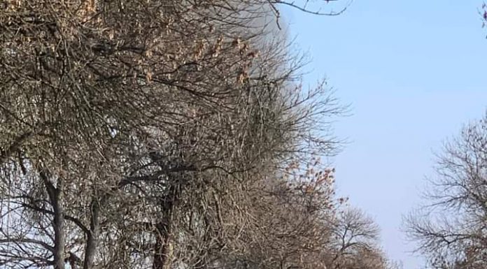 VIDEO: Mașină făcută scrum, la Scoarța!