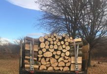 Prins de jandarmi cu autoutilitara plină de lemne! Amendă 2000 de lei