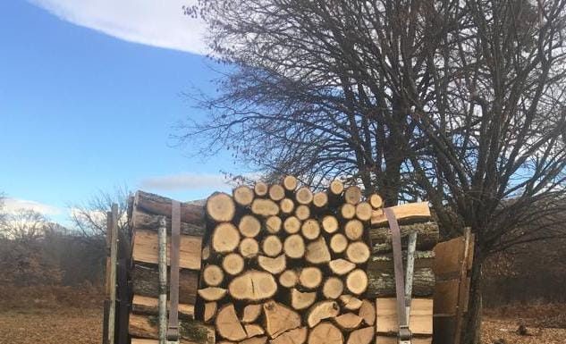 Prins de jandarmi cu autoutilitara plină de lemne! Amendă 2000 de lei