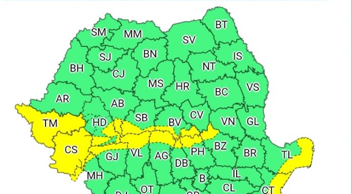 Cod galben de vânt și ninsoare viscolită