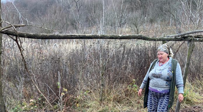 Nou-născut îngropat la Licurici! Mărturia mamei e șocantă!