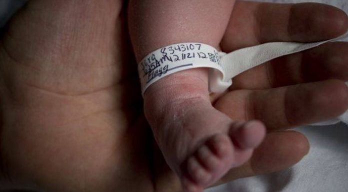 Osemintele unui bebeluș, descoperite îngropate pe o proprietate din Licurici! Acuzații de pruncucidere