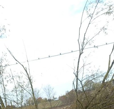 Accident la Câlnic, tânără în spital! A intrat, cu mașina, într-un copac