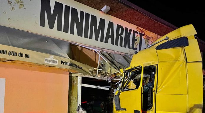 Accident Draguțești: Șoferul a încercat să evite un câine dar era și băut