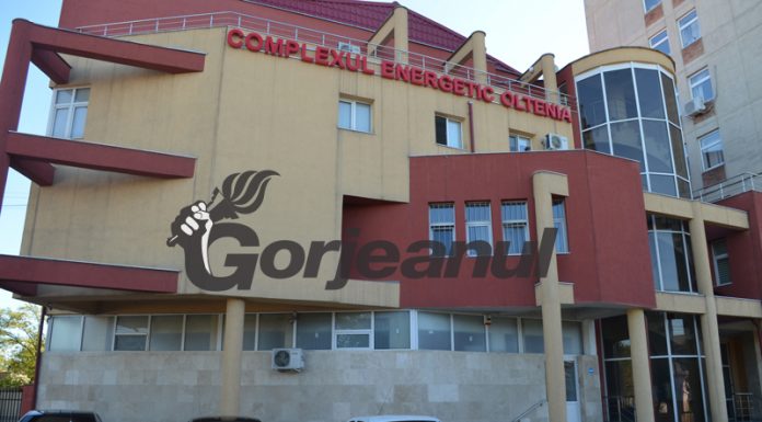 13 funcții de directori în CEO, scoase la concurs