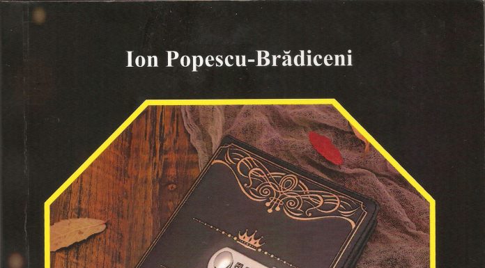 Cronica de carte – la „O foarte succintă introducere în poezia română contemporană” de Ion Popescu-Brădiceni
