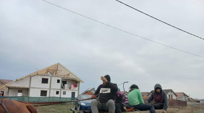 Jaf în pădurea din spatele Avicola! Poliția a făcut dosar penal, hoții prinși de cetățeni din Preajba