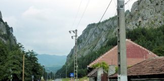 Trei infracțiuni dintr-o lovitură! Pensionar obligat să muncească în folosul comunității