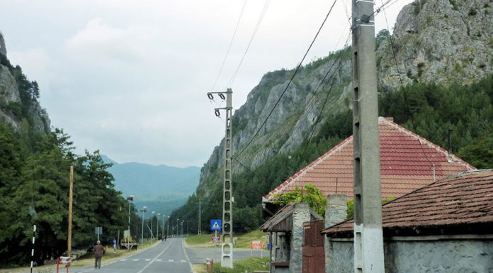 Trei infracțiuni dintr-o lovitură! Pensionar obligat să muncească în folosul comunității