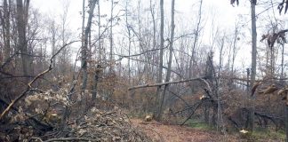 Președintele unei obști, judecat pentru un prejudiciu de peste 3 milioane de lei! Instanța, sesizată legal de către DNA!