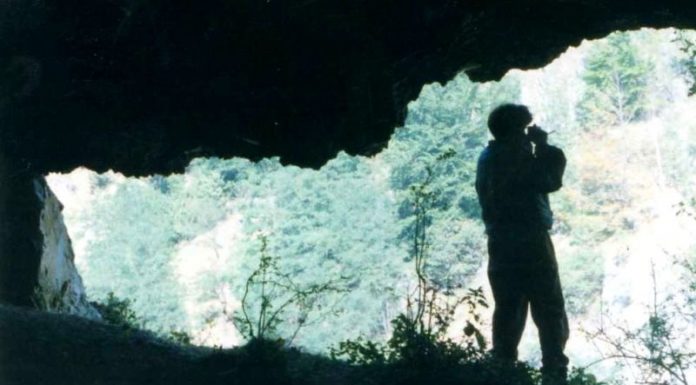 Meditaţii – LUMEA LUI HADES