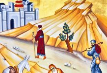 Calea, Lumina, Adevărul şi Viaţa! – Dumnezeu și iubirea aproapelui sunt una și aceeași virtute, fiind singurul motiv pentru care Biserica e spital duhovnicesc în care omul găseşte vindecare şi alinare!