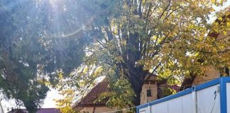 Vaccinare fără programare la centrul de la Pasarelă