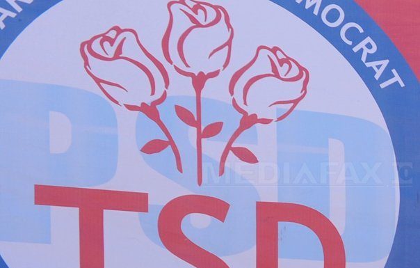 Propunerile tinerilor social-democrație privind inserția acestei categorii pe piața muncii