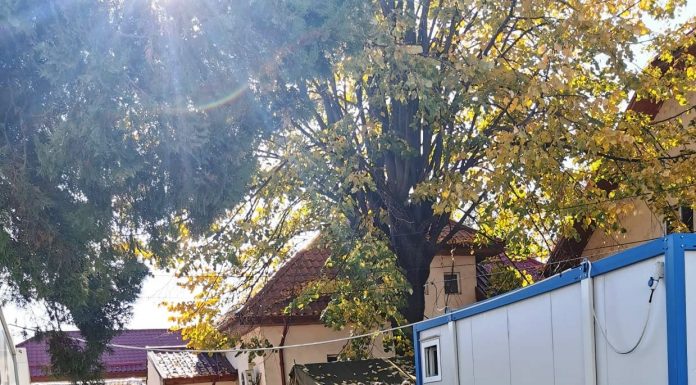 Centru de vaccinare deschis pe 1 Decembrie