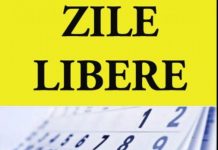 Proiect de lege: Zile libere de Bobotează și Sfântul Ion