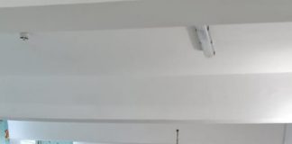 Zeci de brazi, dăruiți de primarul Morega