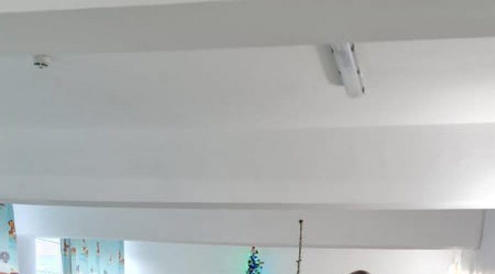 Zeci de brazi, dăruiți de primarul Morega