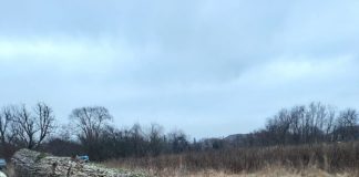 Garda Forestieră, în control la gaterul societății afaceristului Sprâncenatu, la Peștișani! Lemne confiscate