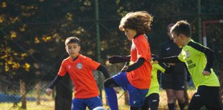 FRF: Proiect educațional pentru pregătirea managerilor academiilor de fotbal