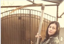 „Mărul, părul şi partidul” – sloganul soacrei