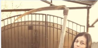 „Mărul, părul şi partidul” – sloganul soacrei