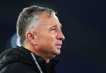 Dan Petrescu, viitorul selecționer