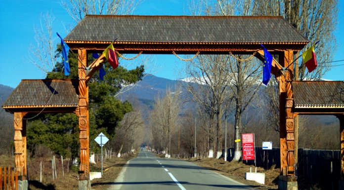 Interes pentru afacerile non-agricole de la sate. Șefa OJFIR Gorj: Suntem printre primele județe din țară în privința numărului de proiecte