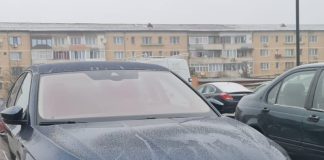 A apărut ,,Superba” unui membru al Directoratului CEO