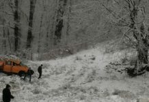 UPDATE, Prigoria: Mașină răsturnată, CINCI victime! Primesc acum primul ajutor