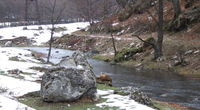 Atitudini hivernale – Pe Motru în sus