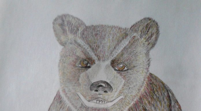 Povești din pădure – Rotofei, ursulețul pofticios