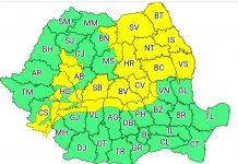 Cod galben de ninsori și vânt