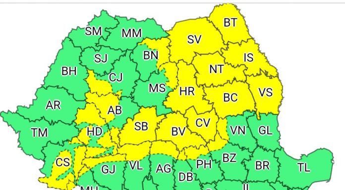 Cod galben de ninsori și vânt