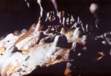 Pentru cei ce pătrund în peşteri – Recomandări privind protecția mediului cavernicol