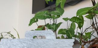 Gorjeanul și-a desemnat câștigătorii la Tombola 2021