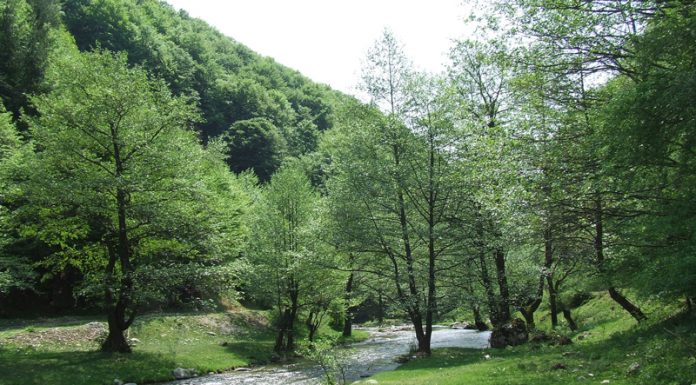 Legende, evocări şi superlative din lumea de piatra a Jiului de Sus (II)