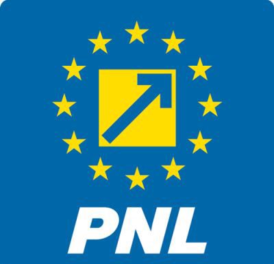 Pe cine susține PNL la Digitalizare