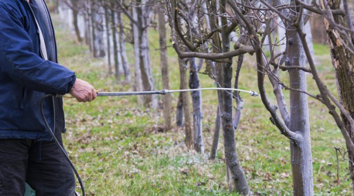 Agricultura pe înțelesul tuturor – Lucrări agricole în repausul vegetativ