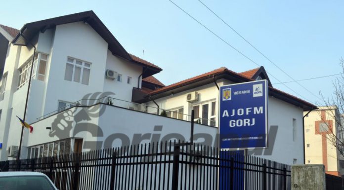 Gorj: Bursa locurilor de muncă, pe 12 mai