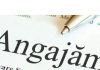Post de contabil-șef la un liceu din Gorj