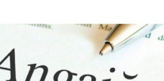 Concurs la Primăria Albeni