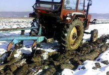 Agricultura pe înțelesul tuturor – Graficul lucrărilor agricole în luna decembrie