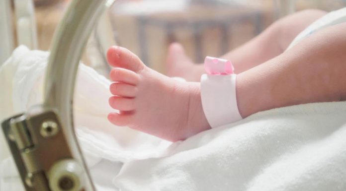 Au primit cel mai frumos dar de Crăciun