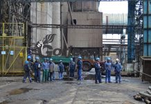 Angajații CEO vor primi economia la fondul de salarii la anul