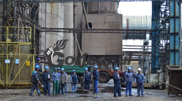 Angajații CEO vor primi economia la fondul de salarii la anul