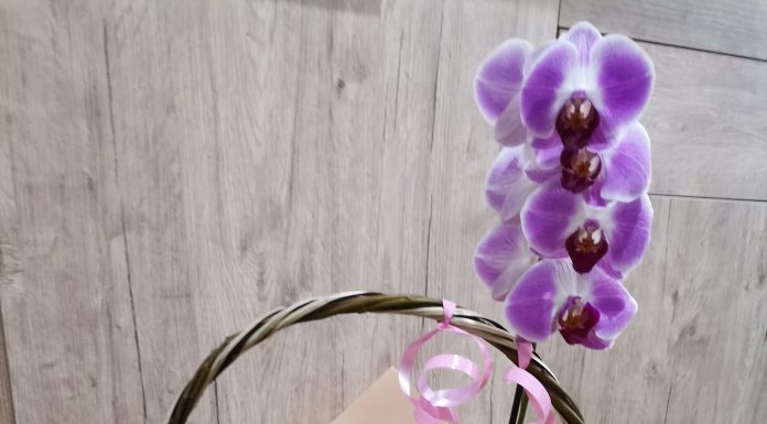 Flori și mulțumiri pentru eroii din spital