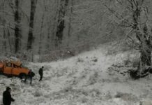 Poliția, despre accidentul de la Prigoria: A pierdut controlul direcției și a intrat într-un indicator